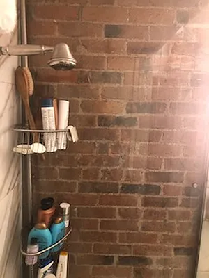 Rented by Ian Shapolsky Real Estate | media 42