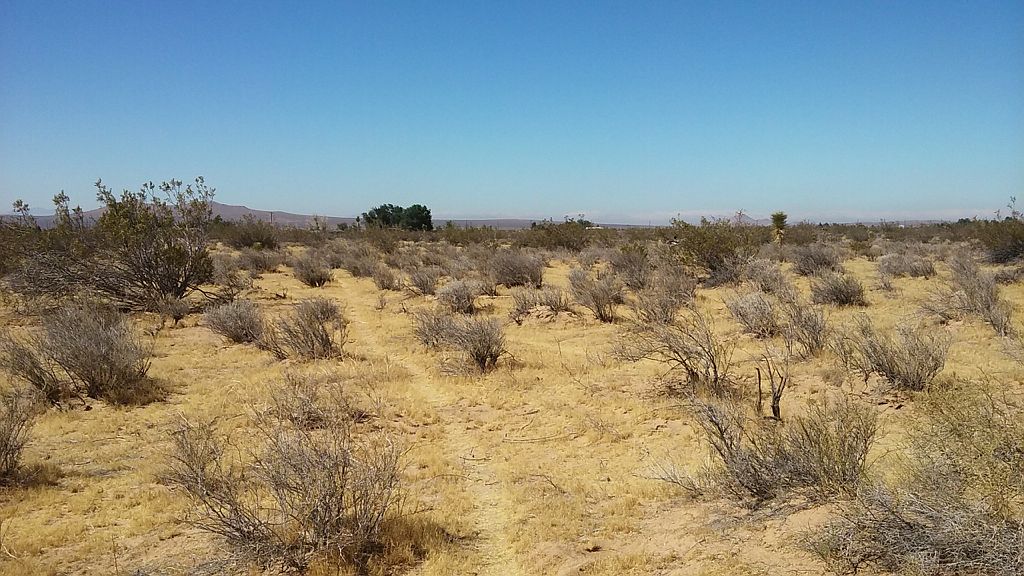 LOT 00 Mojave Blvd, Mojave, CA 93501 Zillow