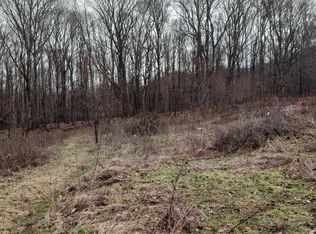 Dyer Rd, Roan Mountain, TN 37687