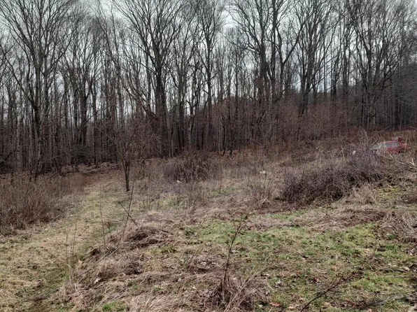 Dyer Rd, Roan Mountain, TN 37687