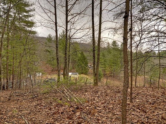 5th image of 231 Douglas Mountain Trl