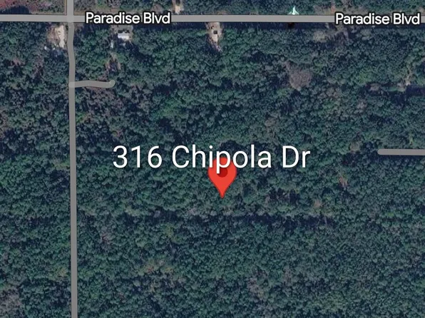 316 Chipola Dr, Georgetown, FL 32139