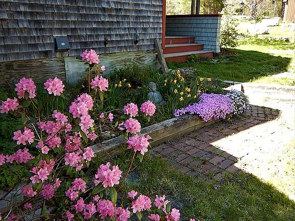 Spring has sprung!