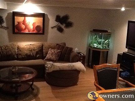 Basement and Bar