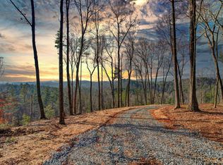 Kirkland Lake Rd, Ellijay, GA 30540