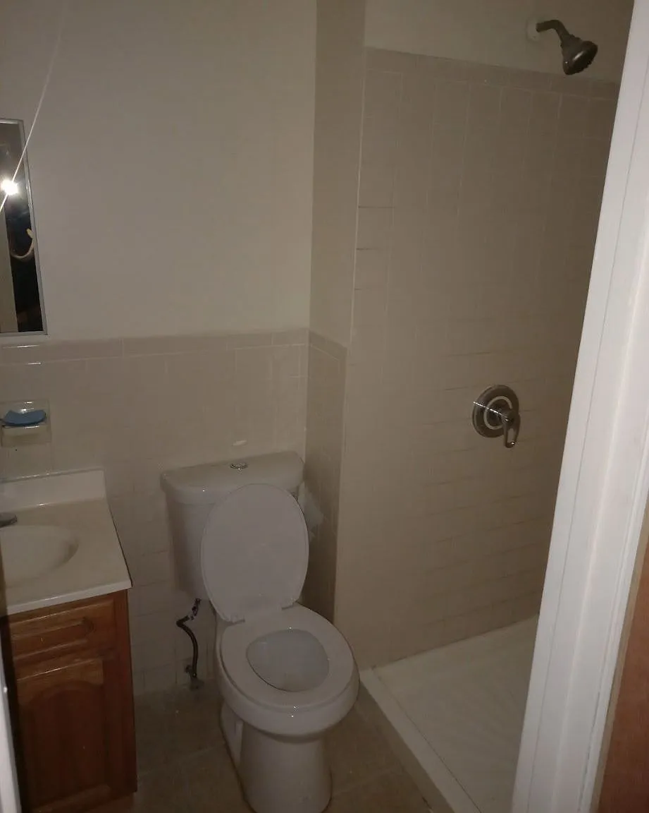 3 bed, 1239 sqft, $3,500 — Photo 4