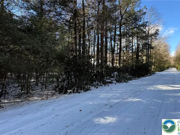 Rodda Rd, Albrightsville, PA 18210