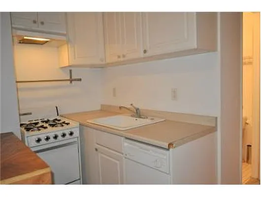 Rented by Douglas Elliman | media 26