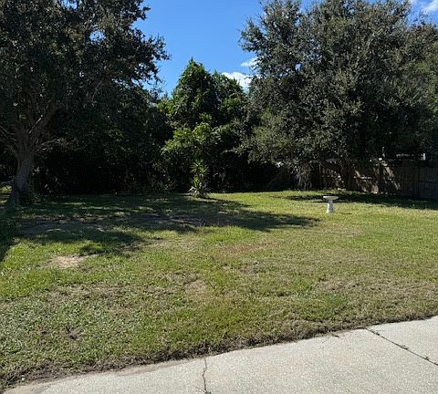 Back yard