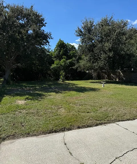 Back yard