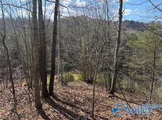 80 Snow Point Rd, Guntersville, AL 35976