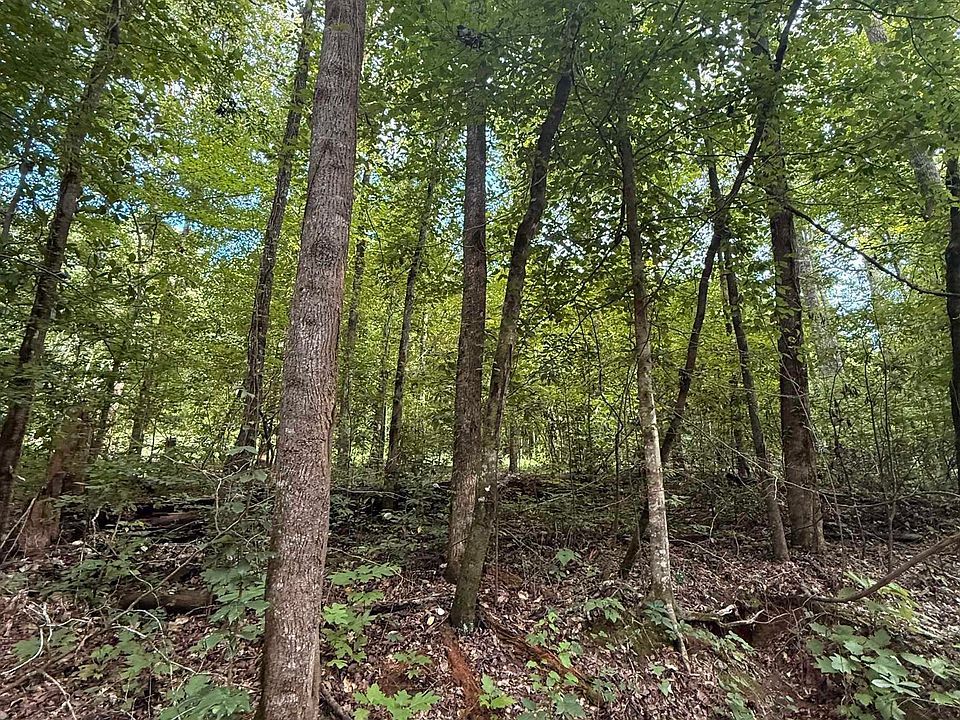 2nd image of 0 County Road 312 W