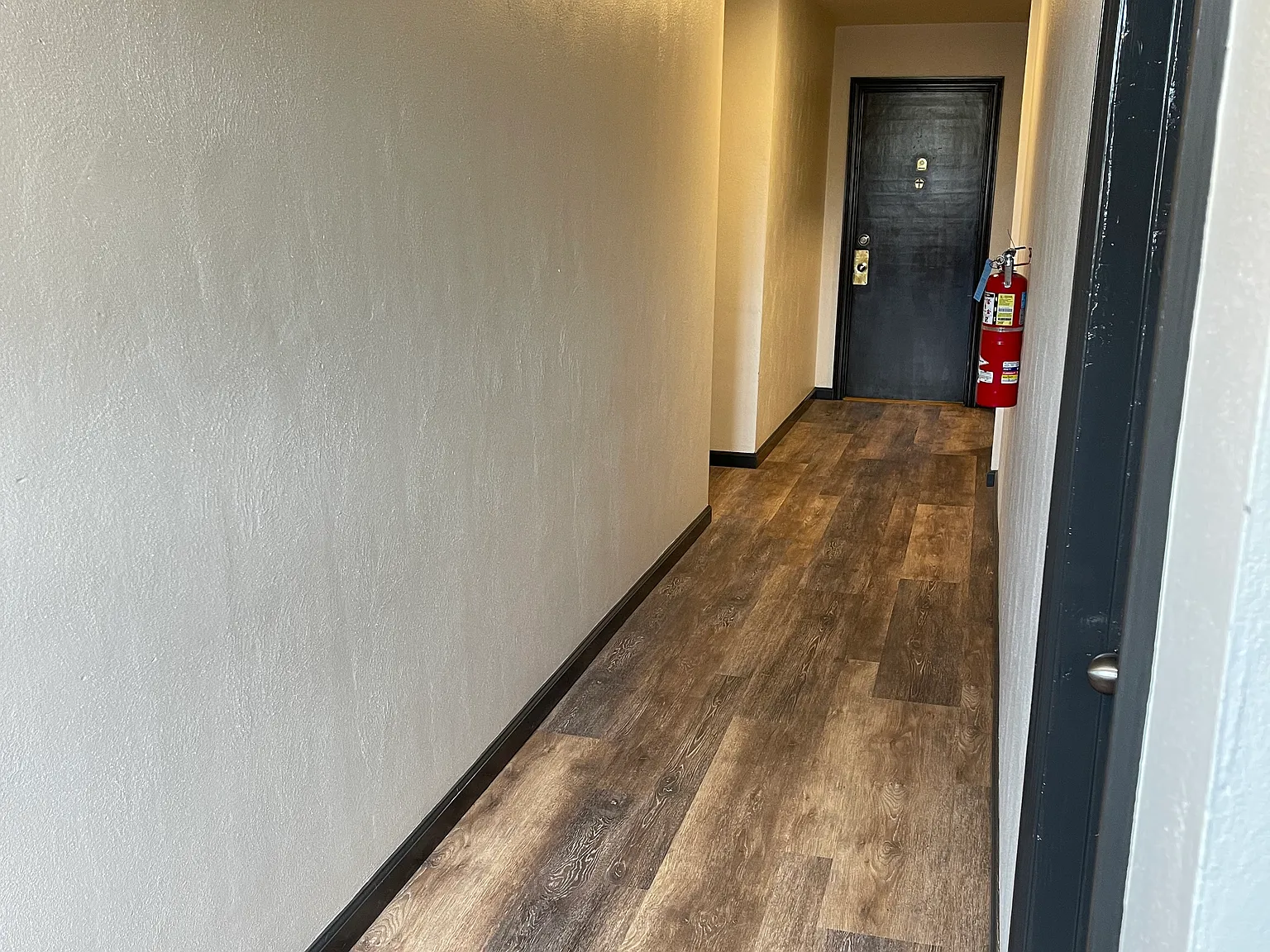 1 bed, $875 — Photo 2
