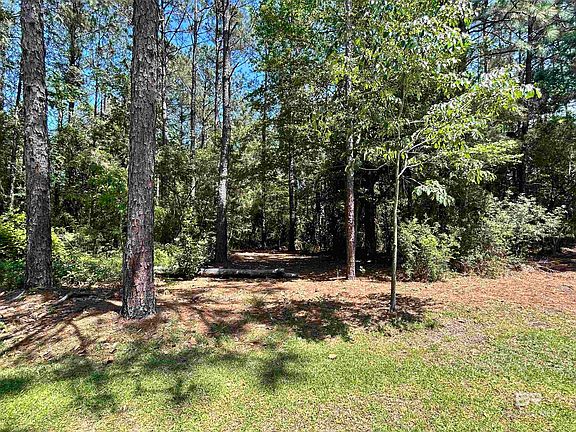 3rd image of 37575 State Highway 59