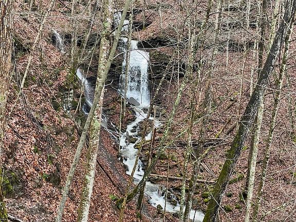 5th image of 1925 Freezeland Mountain Rd