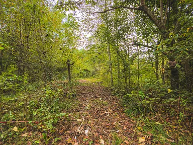 Property photo 36