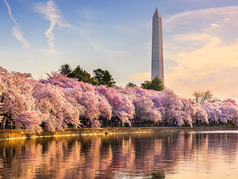 Enjoy all DC has to offer