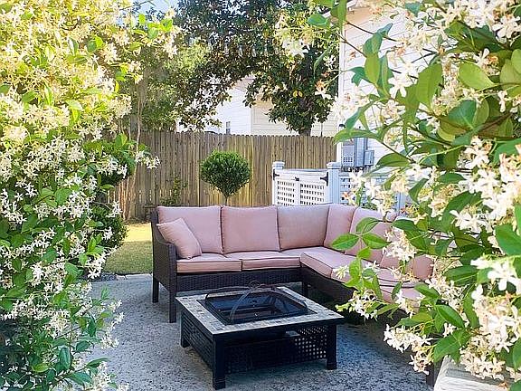 Backyard jasmine in bloom