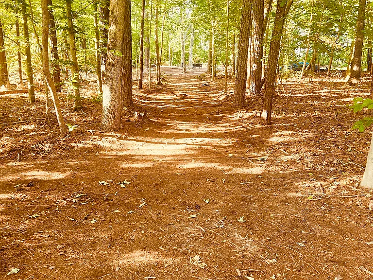 Chippokes Rd — Photo 44
