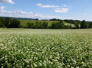 Canyon Rd, Root, NY 12166