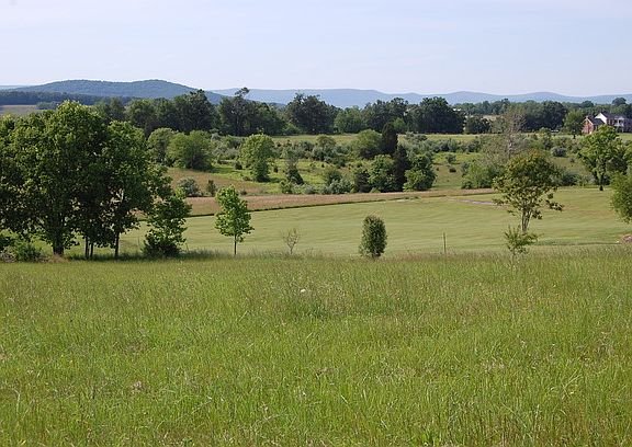 4th image of 0 Beaver Ln