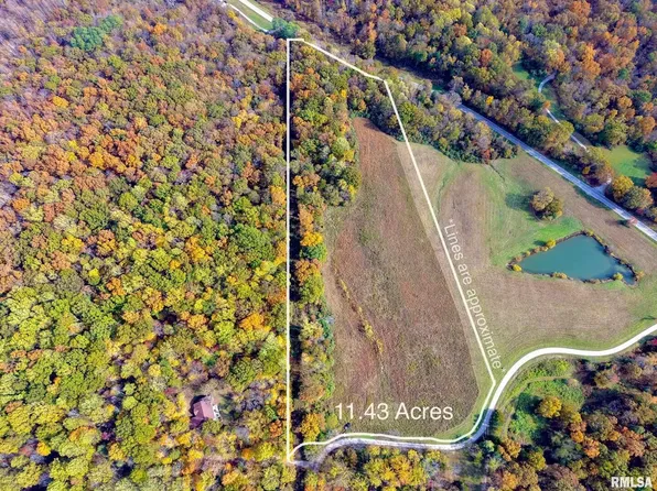 1143 N County Line Rd, Cobden, IL 62920