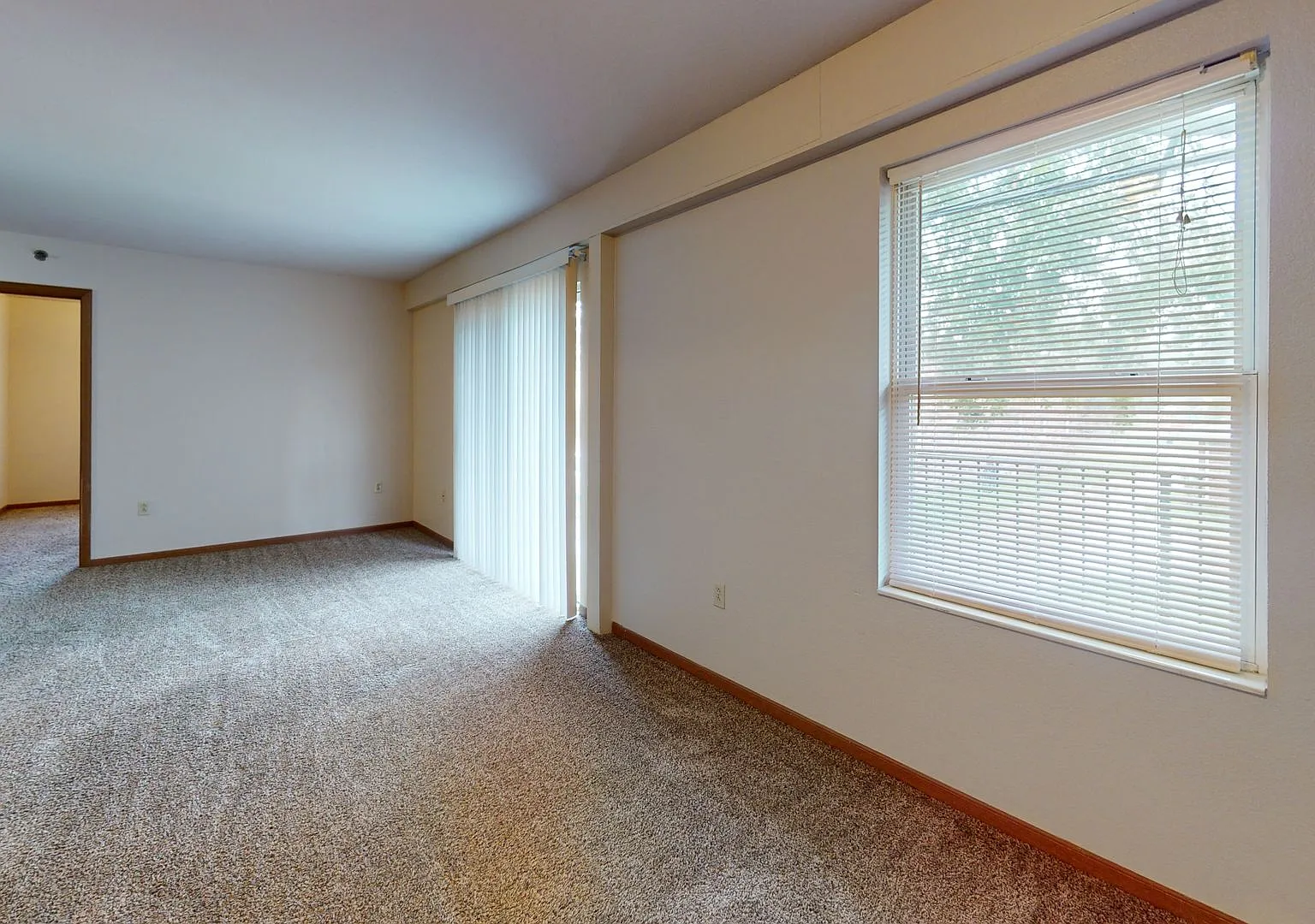 310 Cedar St. — Photo 3