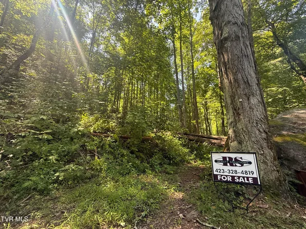 Dennis Cove Rd, Hampton, TN 37658
