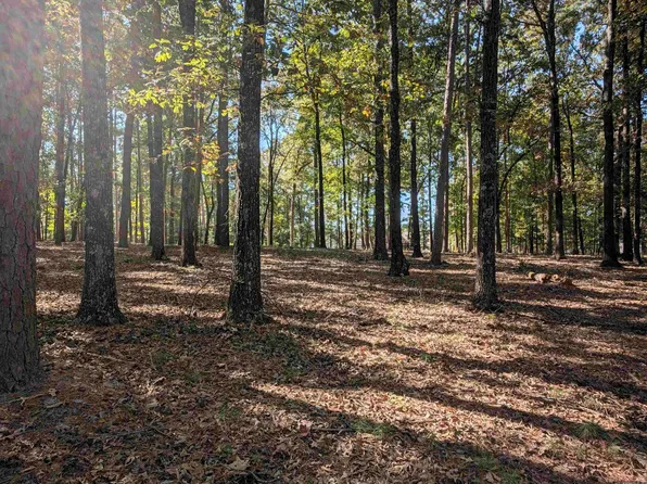 515 Easy St, Drasco, AR 72530