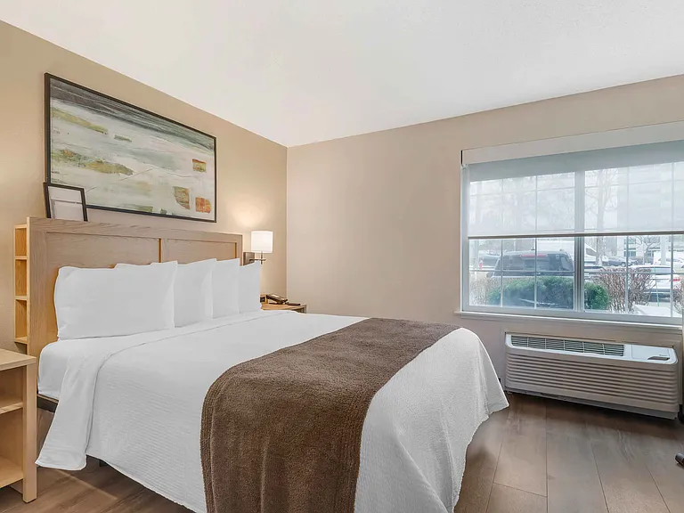 Studio Suite - 1 Queen Bed