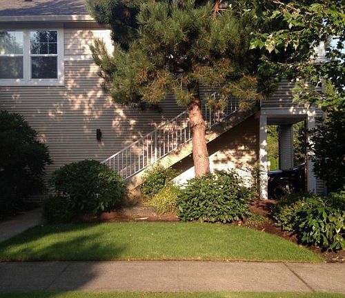 2nd image of 1647 Kennedy Pl