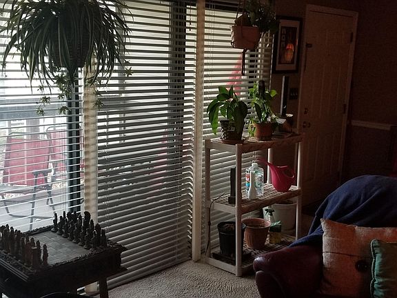 Living Room and Patio