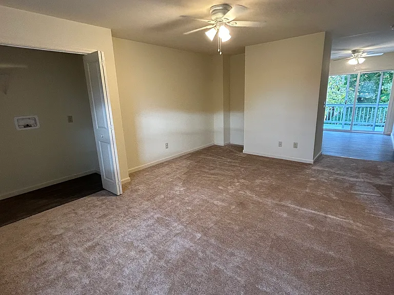 3729 Carman Rd #4 — Photo 5