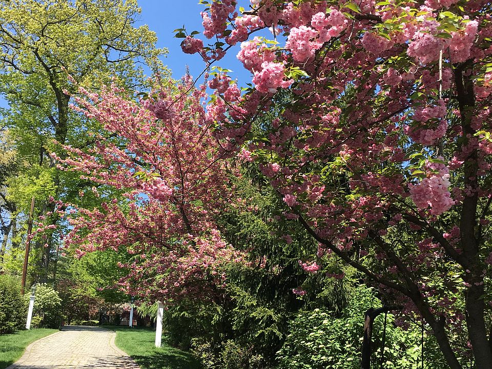 Gorgeous sunny day in April