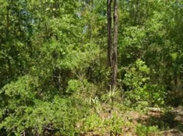 21425 RAINBOW LAKES BOULEVARD LOT 37, DUNNELLON, FL 34431