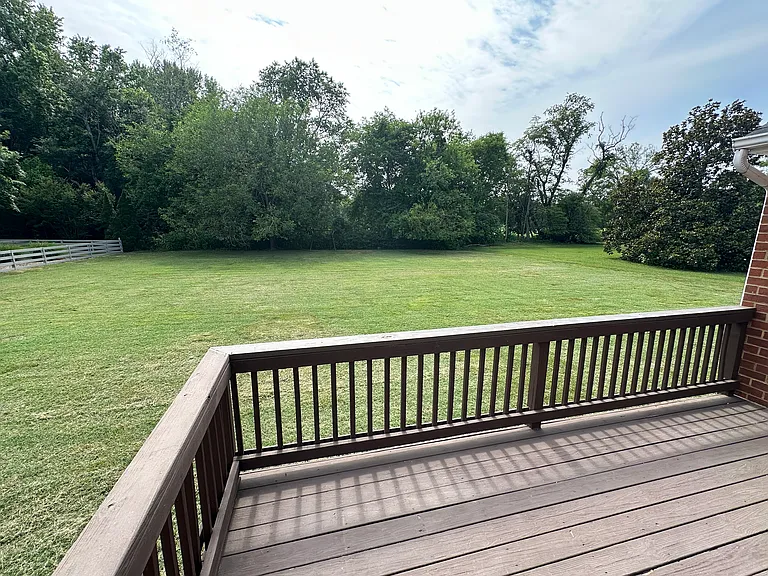 Back yard