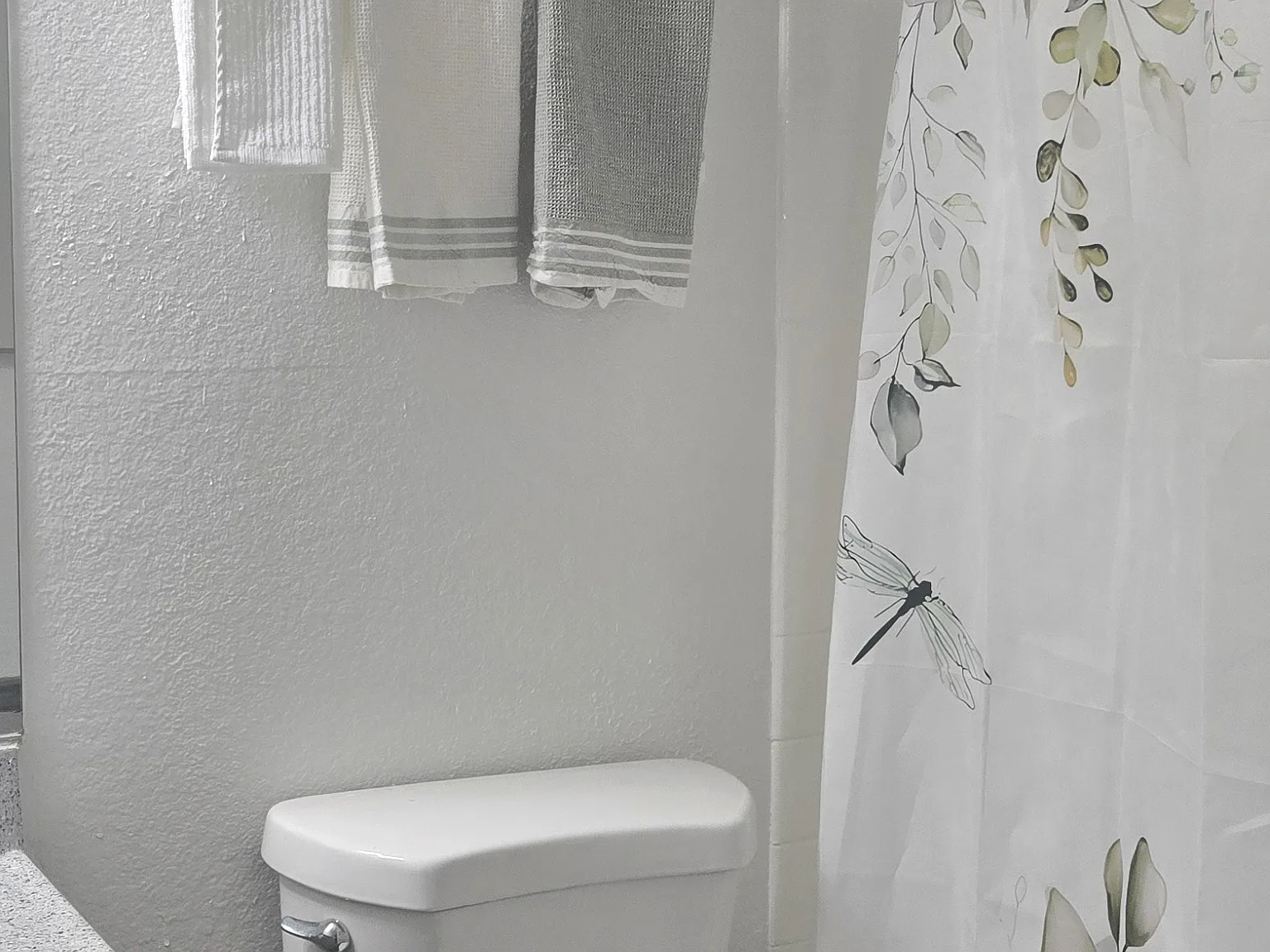 Studio, 400 sqft, $790 — Photo 1