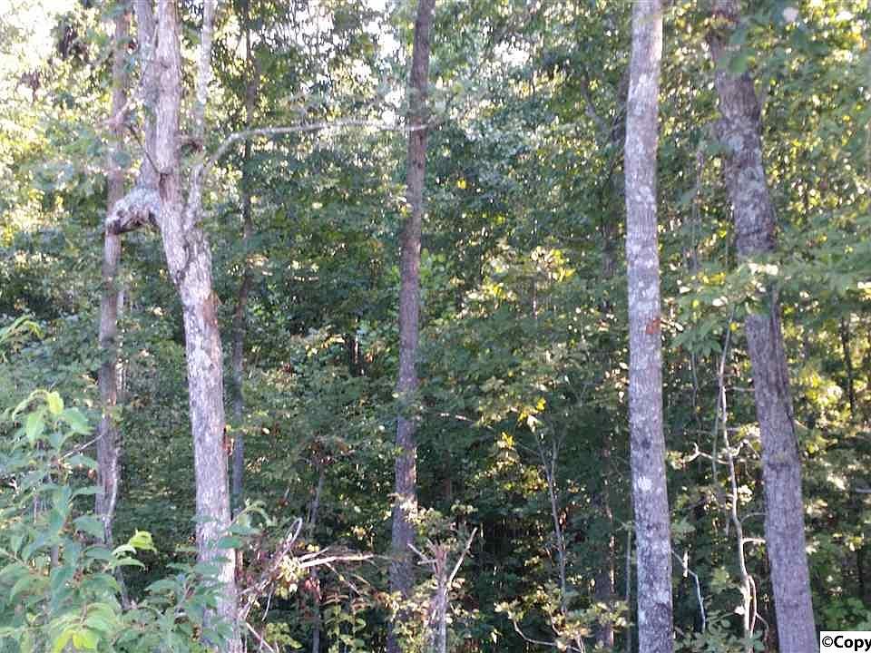 2nd image of 1088 County Road 788