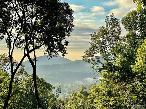 253 Kestrel Court, Sapphire, NC 28774