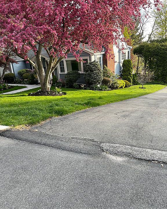 2nd image of 57 Westland Ave