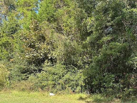 2nd image of County Road 4682