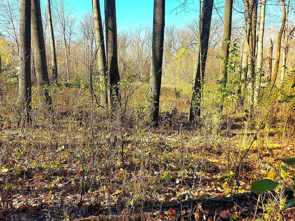 1st image of 924 Sunflower Way