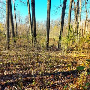 924 Sunflower Way, Amery, WI, 54001