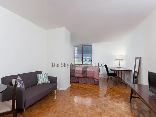 Rented by Blu Sky New York LLC | media 13