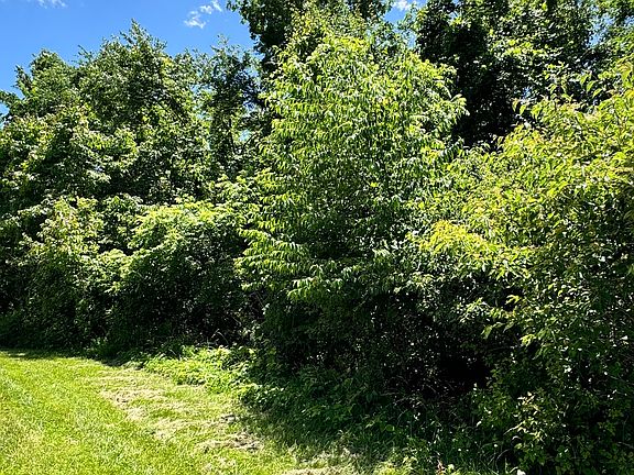 4th image of 830 Robin Wood Pl
