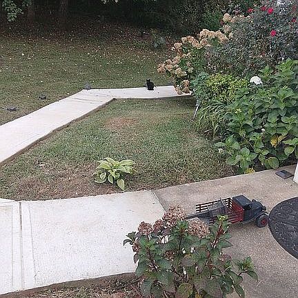 Sidewalk
