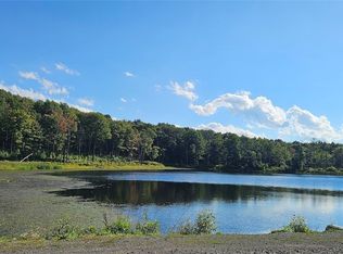 Creamery Rd, Richford, NY 13835