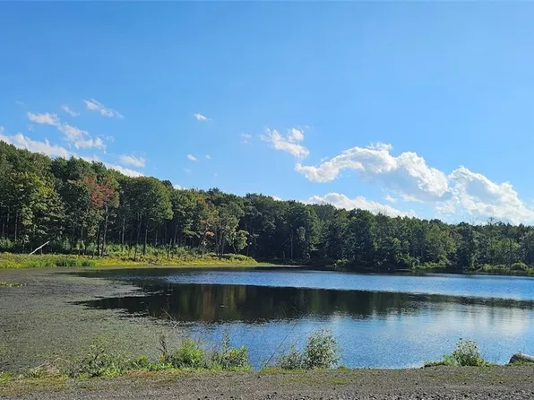Creamery Rd, Richford, NY 13835