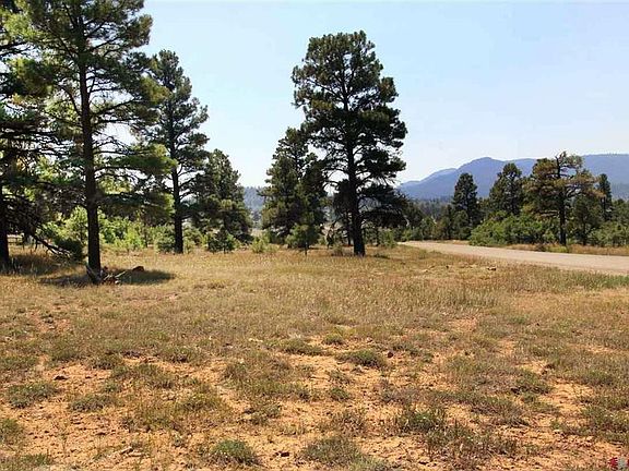 3rd image of 445 & 478 Bonanza Avenue