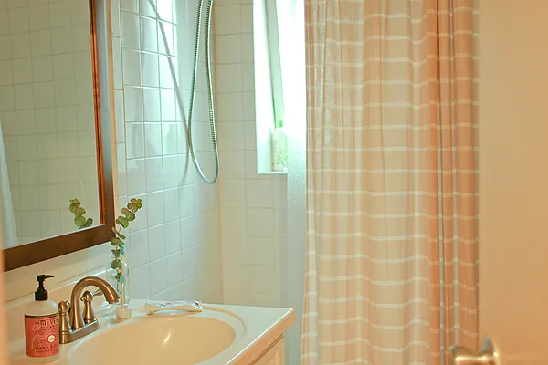 Rented by Douglas Elliman | media 7